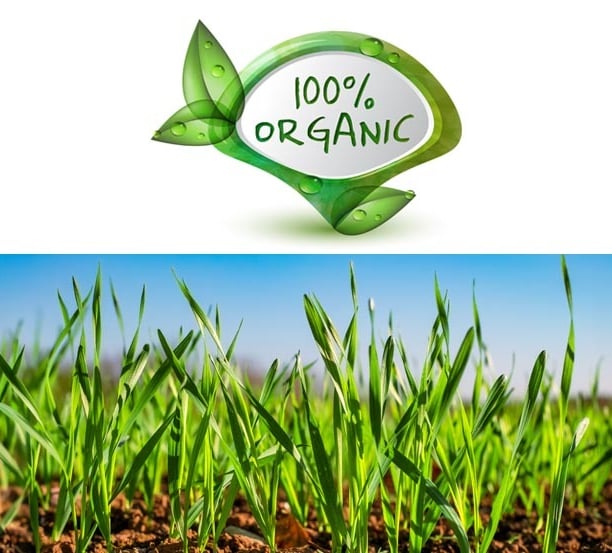 100 percent organic sign in a green crop