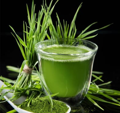 barely leaf drink dWxeXEDL9liBLZDy